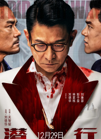 成人在线网